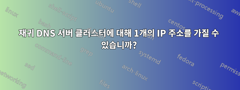 재귀 DNS 서버 클러스터에 대해 1개의 IP 주소를 가질 수 있습니까?