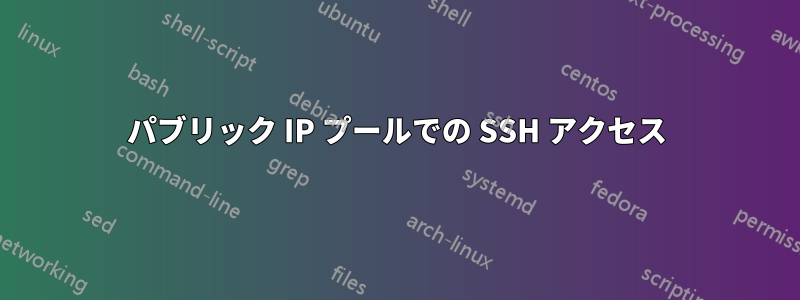 パブリック IP プールでの SSH アクセス