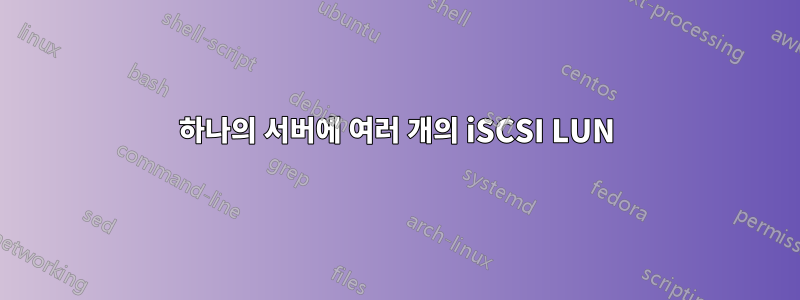 하나의 서버에 여러 개의 iSCSI LUN