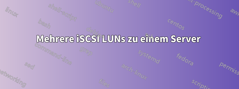 Mehrere iSCSI LUNs zu einem Server