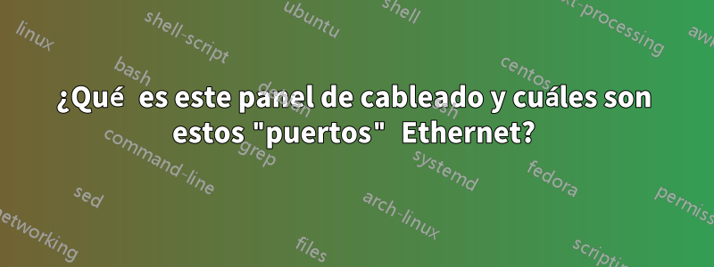 ¿Qué es este panel de cableado y cuáles son estos "puertos" Ethernet?