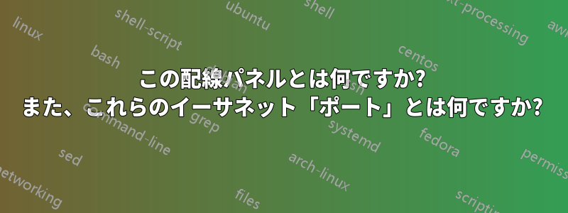 この配線パネルとは何ですか? また、これらのイーサネット「ポート」とは何ですか?