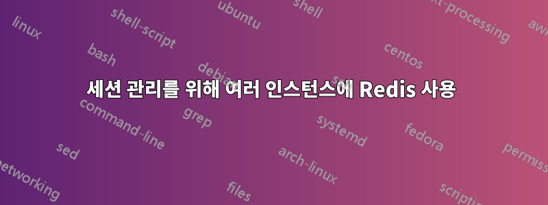 세션 관리를 위해 여러 인스턴스에 Redis 사용