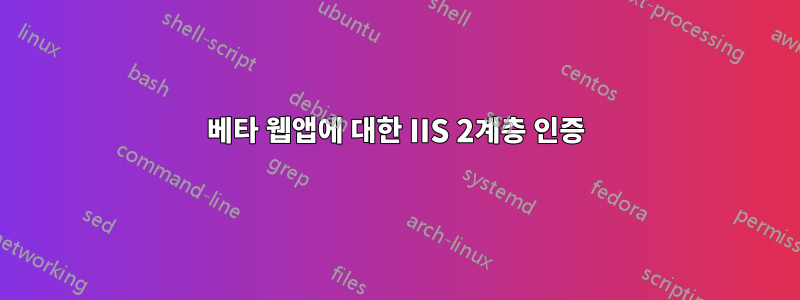 베타 웹앱에 대한 IIS 2계층 인증