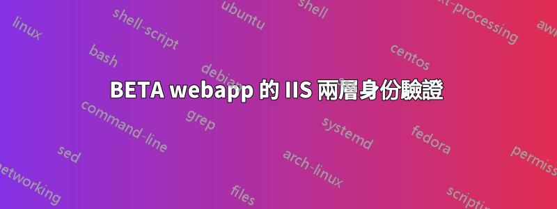 BETA webapp 的 IIS 兩層身份驗證