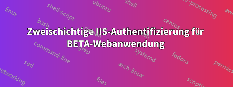 Zweischichtige IIS-Authentifizierung für BETA-Webanwendung