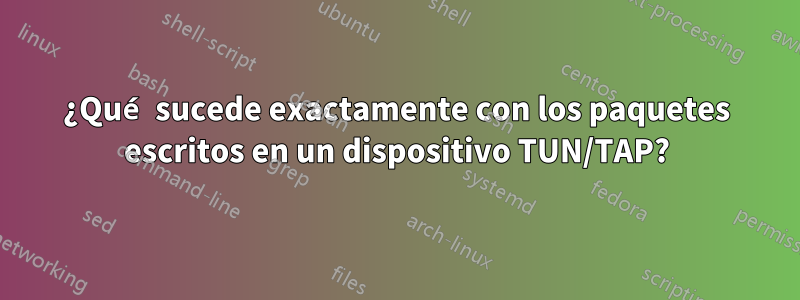 ¿Qué sucede exactamente con los paquetes escritos en un dispositivo TUN/TAP?