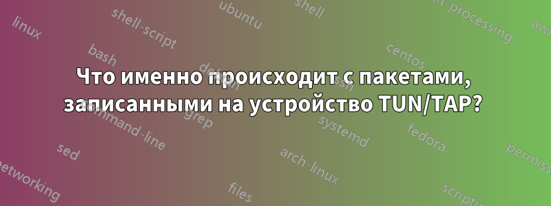 Что именно происходит с пакетами, записанными на устройство TUN/TAP?