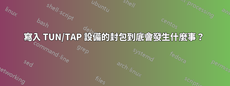 寫入 TUN/TAP 設備的封包到底會發生什麼事？