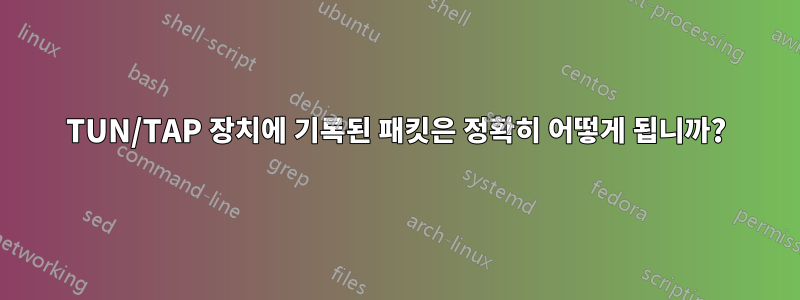 TUN/TAP 장치에 기록된 패킷은 정확히 어떻게 됩니까?