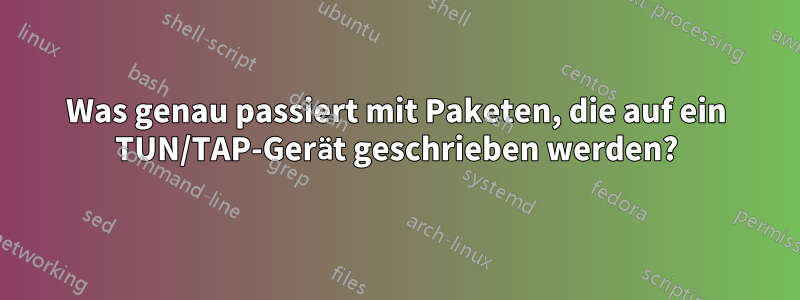 Was genau passiert mit Paketen, die auf ein TUN/TAP-Gerät geschrieben werden?