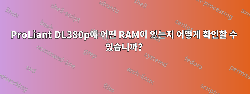 ProLiant DL380p에 어떤 RAM이 있는지 어떻게 확인할 수 있습니까?