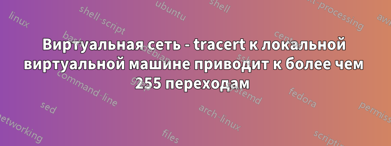 Виртуальная сеть - tracert к локальной виртуальной машине приводит к более чем 255 переходам 