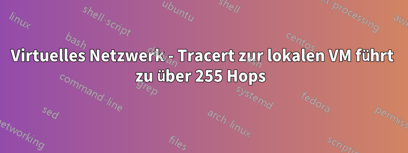 Virtuelles Netzwerk - Tracert zur lokalen VM führt zu über 255 Hops 