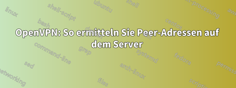 OpenVPN: So ermitteln Sie Peer-Adressen auf dem Server