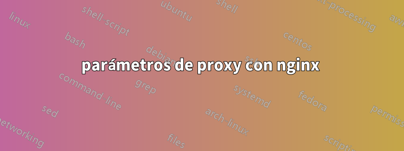 parámetros de proxy con nginx