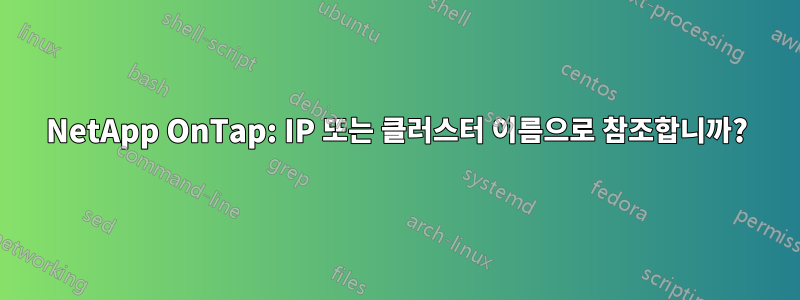 NetApp OnTap: IP 또는 클러스터 이름으로 참조합니까?