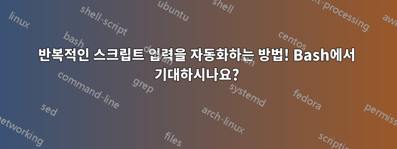 반복적인 스크립트 입력을 자동화하는 방법! Bash에서 기대하시나요?