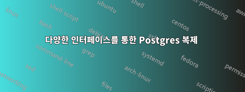 다양한 인터페이스를 통한 Postgres 복제