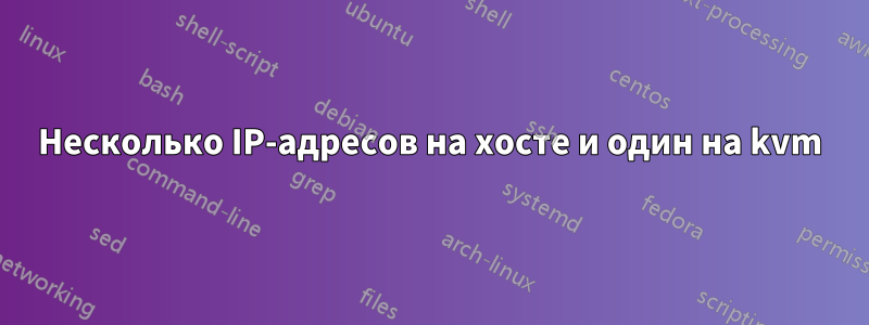 Несколько IP-адресов на хосте и один на kvm