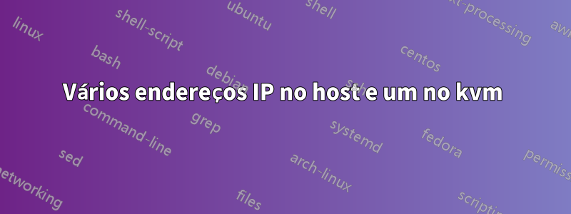 Vários endereços IP no host e um no kvm