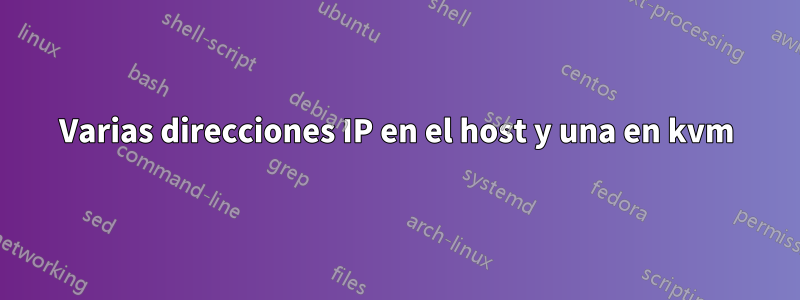 Varias direcciones IP en el host y una en kvm