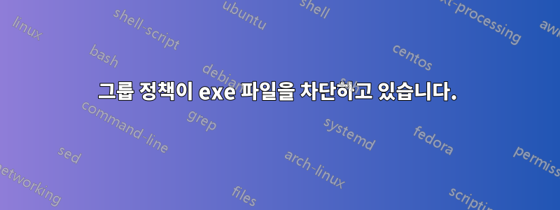 그룹 정책이 exe 파일을 차단하고 있습니다.