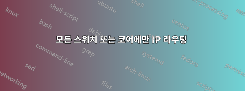 모든 스위치 또는 코어에만 IP 라우팅