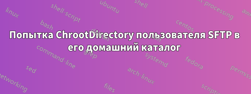 Попытка ChrootDirectory пользователя SFTP в его домашний каталог