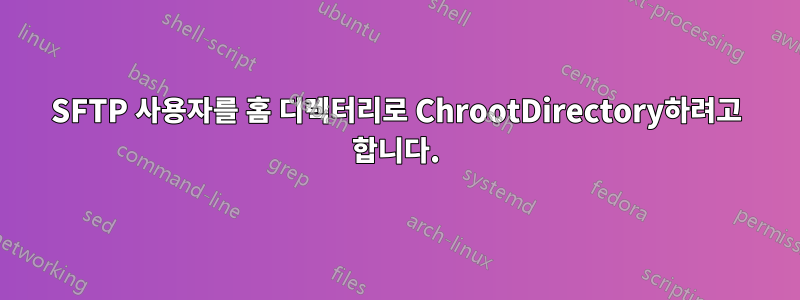 SFTP 사용자를 홈 디렉터리로 ChrootDirectory하려고 합니다.