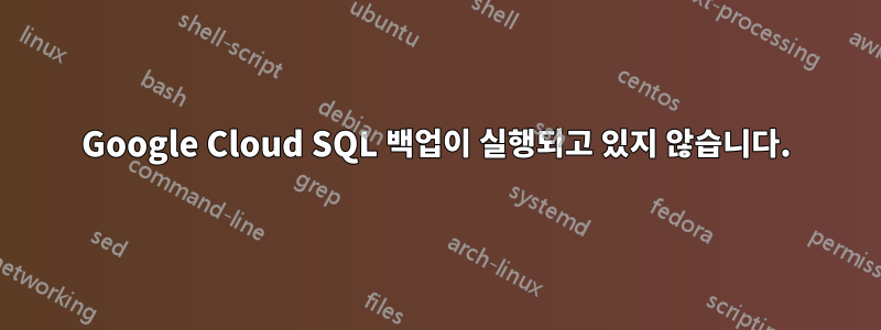 Google Cloud SQL 백업이 실행되고 있지 않습니다.