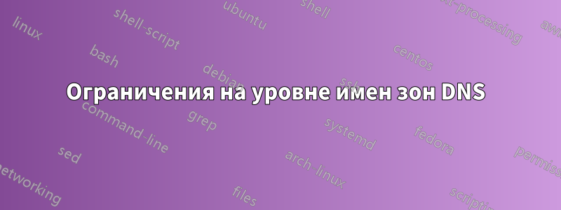 Ограничения на уровне имен зон DNS 