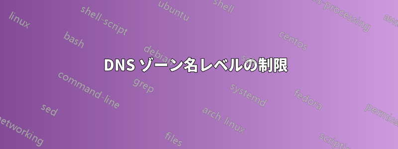 DNS ゾーン名レベルの制限 