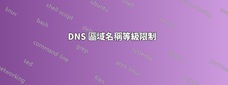 DNS 區域名稱等級限制 