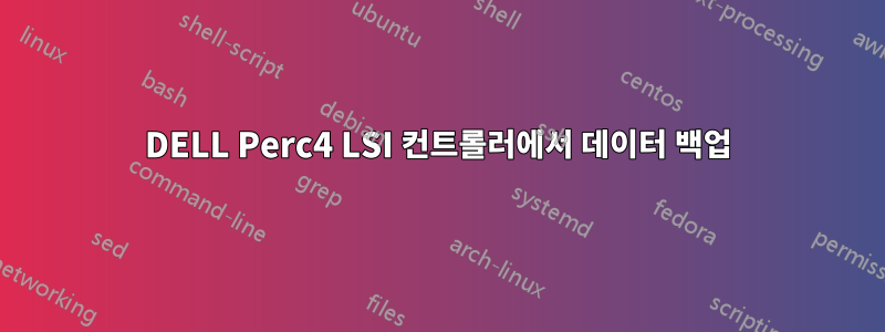 DELL Perc4 LSI 컨트롤러에서 데이터 백업