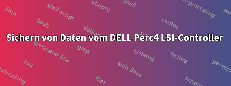 Sichern von Daten vom DELL Perc4 LSI-Controller