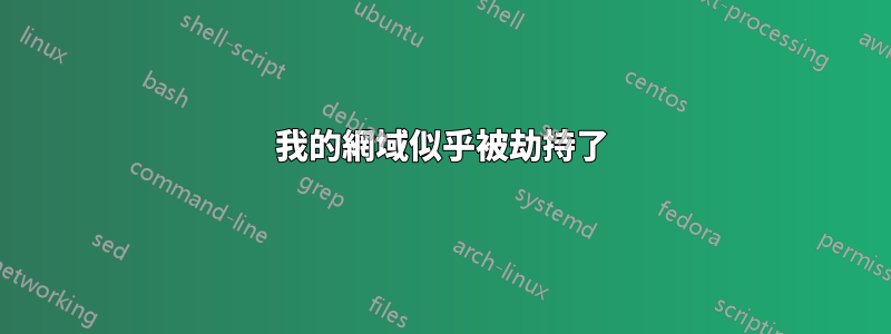 我的網域似乎被劫持了