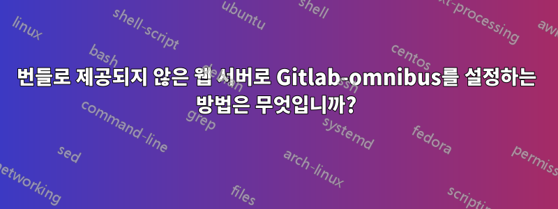 번들로 제공되지 않은 웹 서버로 Gitlab-omnibus를 설정하는 방법은 무엇입니까?