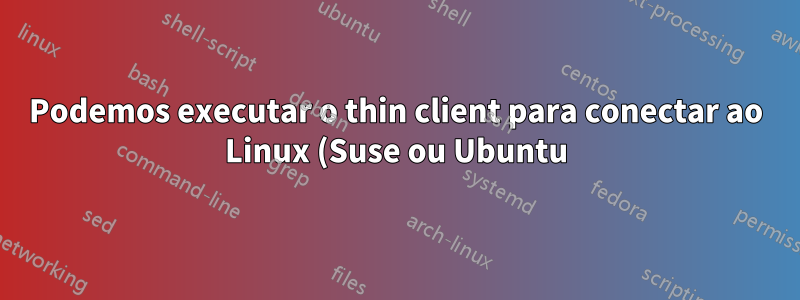 Podemos executar o thin client para conectar ao Linux (Suse ou Ubuntu)