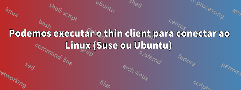 Podemos executar o thin client para conectar ao Linux (Suse ou Ubuntu) 