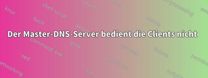 Der Master-DNS-Server bedient die Clients nicht 