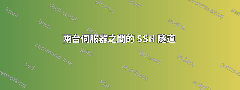 兩台伺服器之間的 SSH 隧道