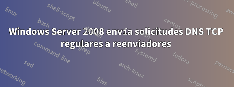 Windows Server 2008 envía solicitudes DNS TCP regulares a reenviadores