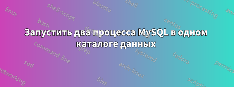 Запустить два процесса MySQL в одном каталоге данных