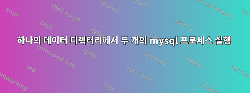 하나의 데이터 디렉터리에서 두 개의 mysql 프로세스 실행