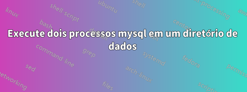 Execute dois processos mysql em um diretório de dados