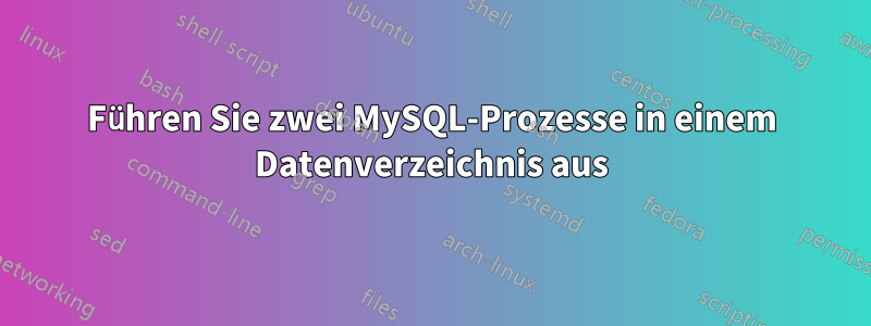 Führen Sie zwei MySQL-Prozesse in einem Datenverzeichnis aus