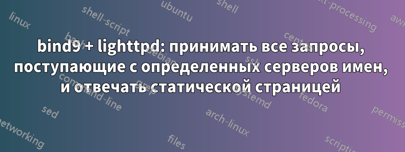 bind9 + lighttpd: принимать все запросы, поступающие с определенных серверов имен, и отвечать статической страницей