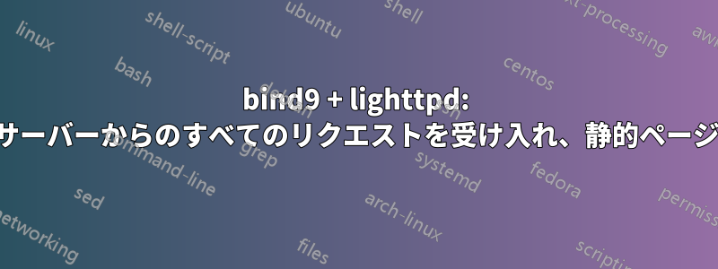 bind9 + lighttpd: 特定のネームサーバーからのすべてのリクエストを受け入れ、静的ページで応答します