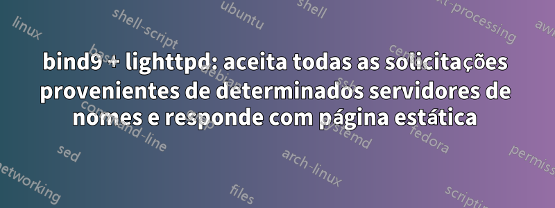 bind9 + lighttpd: aceita todas as solicitações provenientes de determinados servidores de nomes e responde com página estática